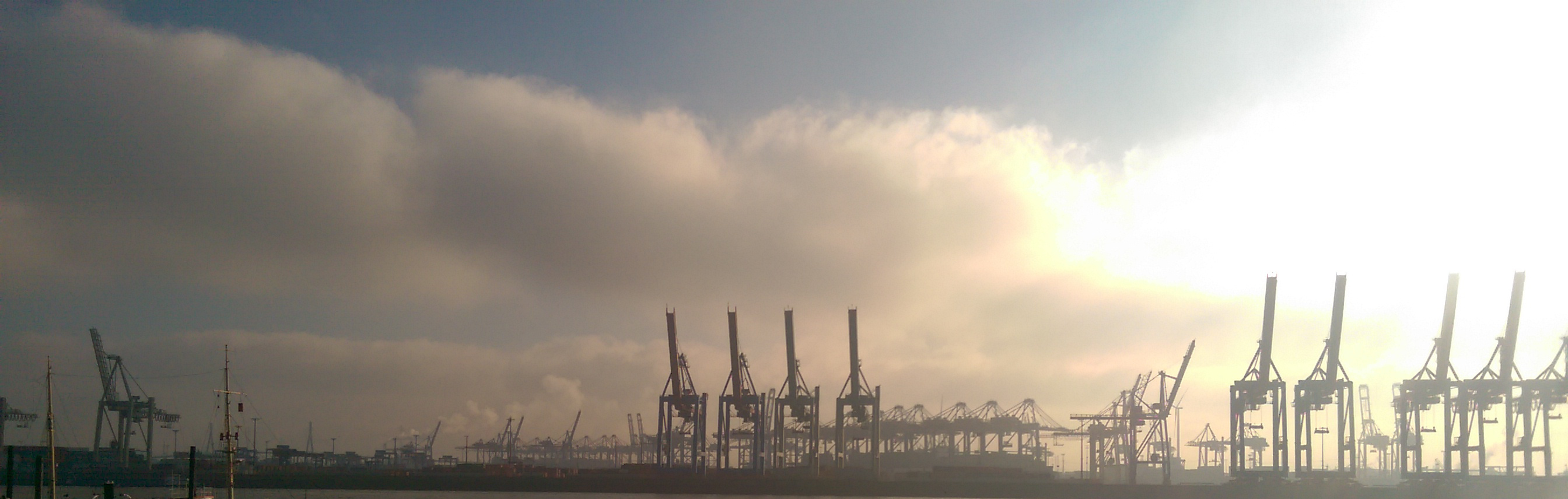 A bunch of cranes on a misty day